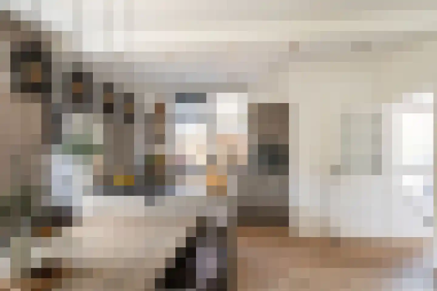 Frankenthalerstraat 12 Naaldwijk thumbnail 7