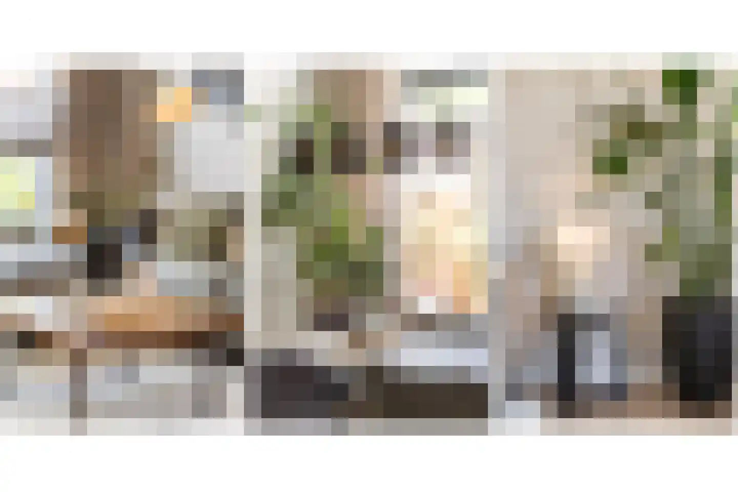 Frankenthalerstraat 12 Naaldwijk thumbnail 8