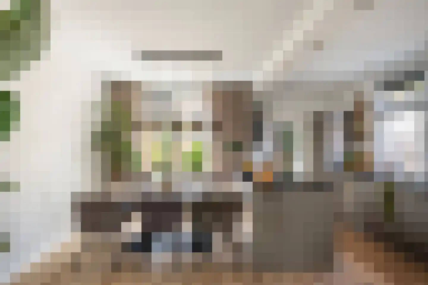 Frankenthalerstraat 12 Naaldwijk thumbnail 9