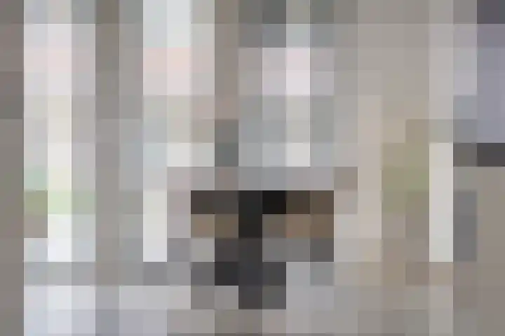 Frankenveld 10 Arnhem thumbnail 10