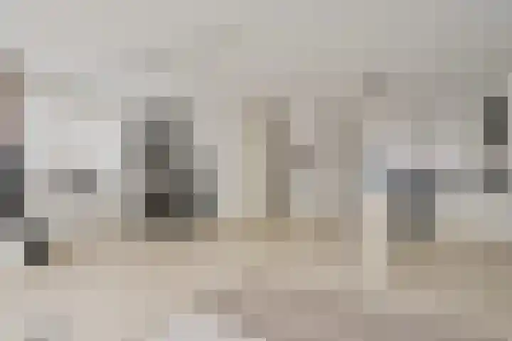 Frankenveld 10 Arnhem thumbnail 18