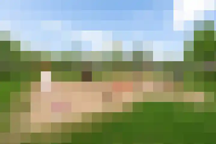 Frankenveld 10 Arnhem thumbnail 43
