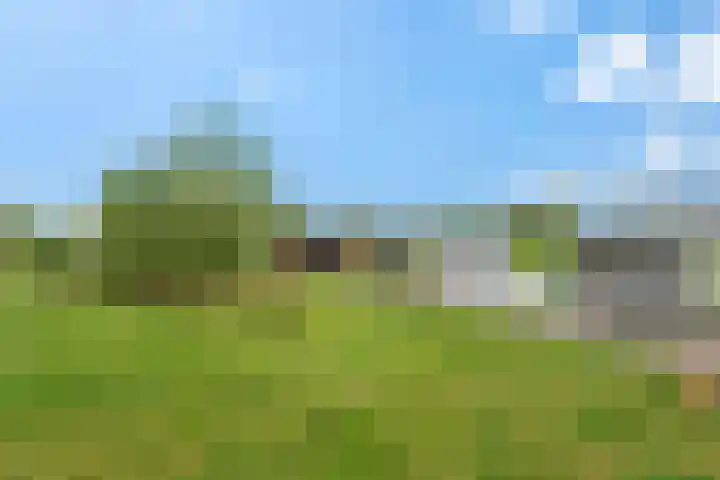 Frankenveld 10 Arnhem thumbnail 45