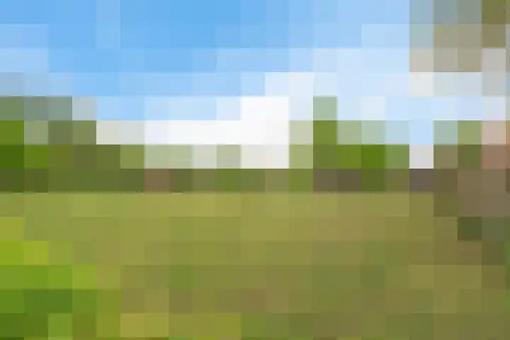 Frankenveld 10 Arnhem thumbnail 46