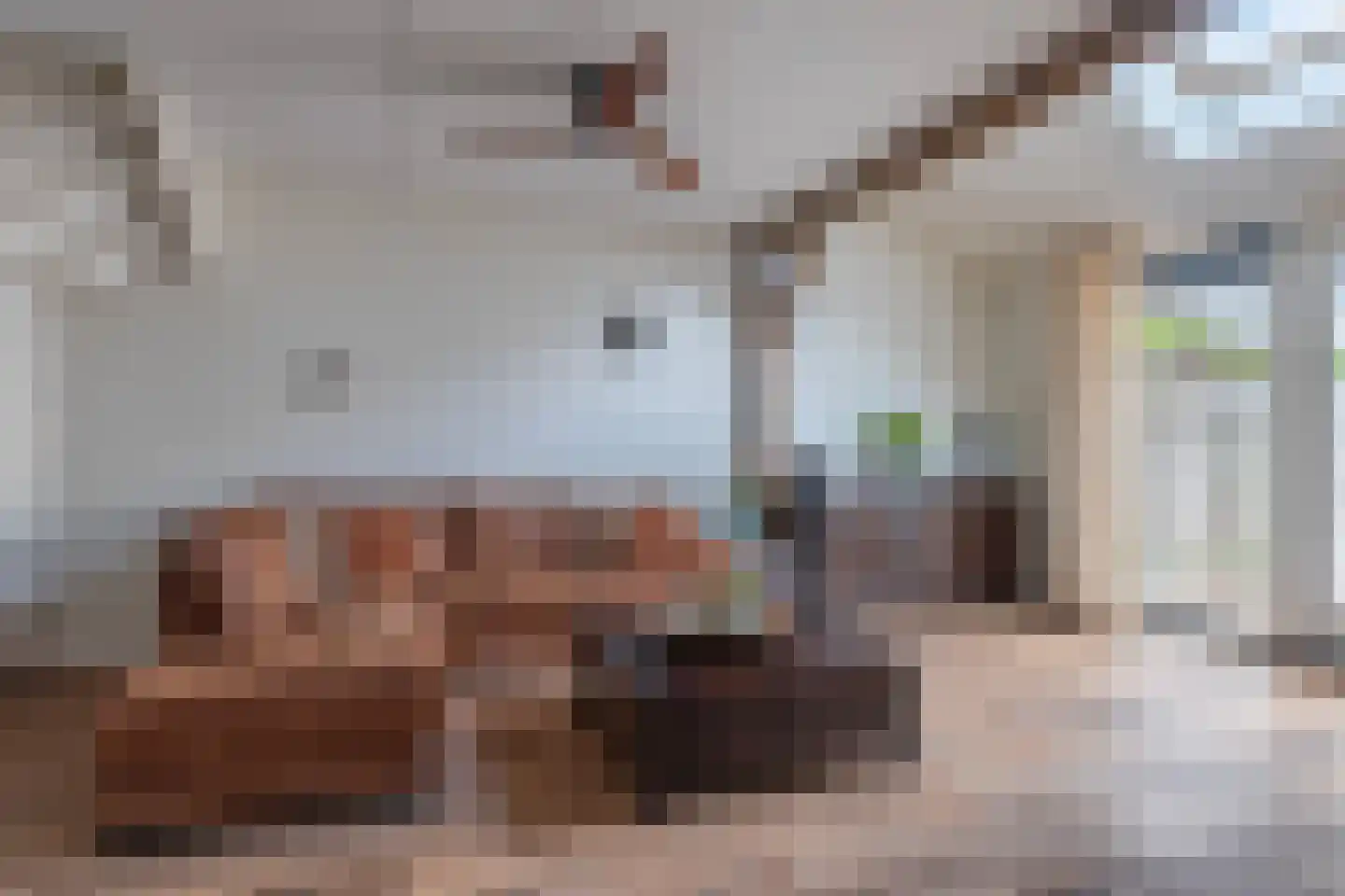 Frankenveld 14 Arnhem thumbnail 17