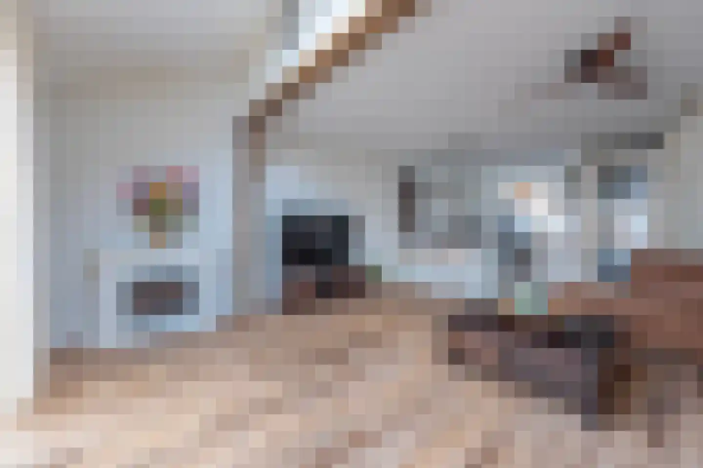 Frankenveld 14 Arnhem thumbnail 19
