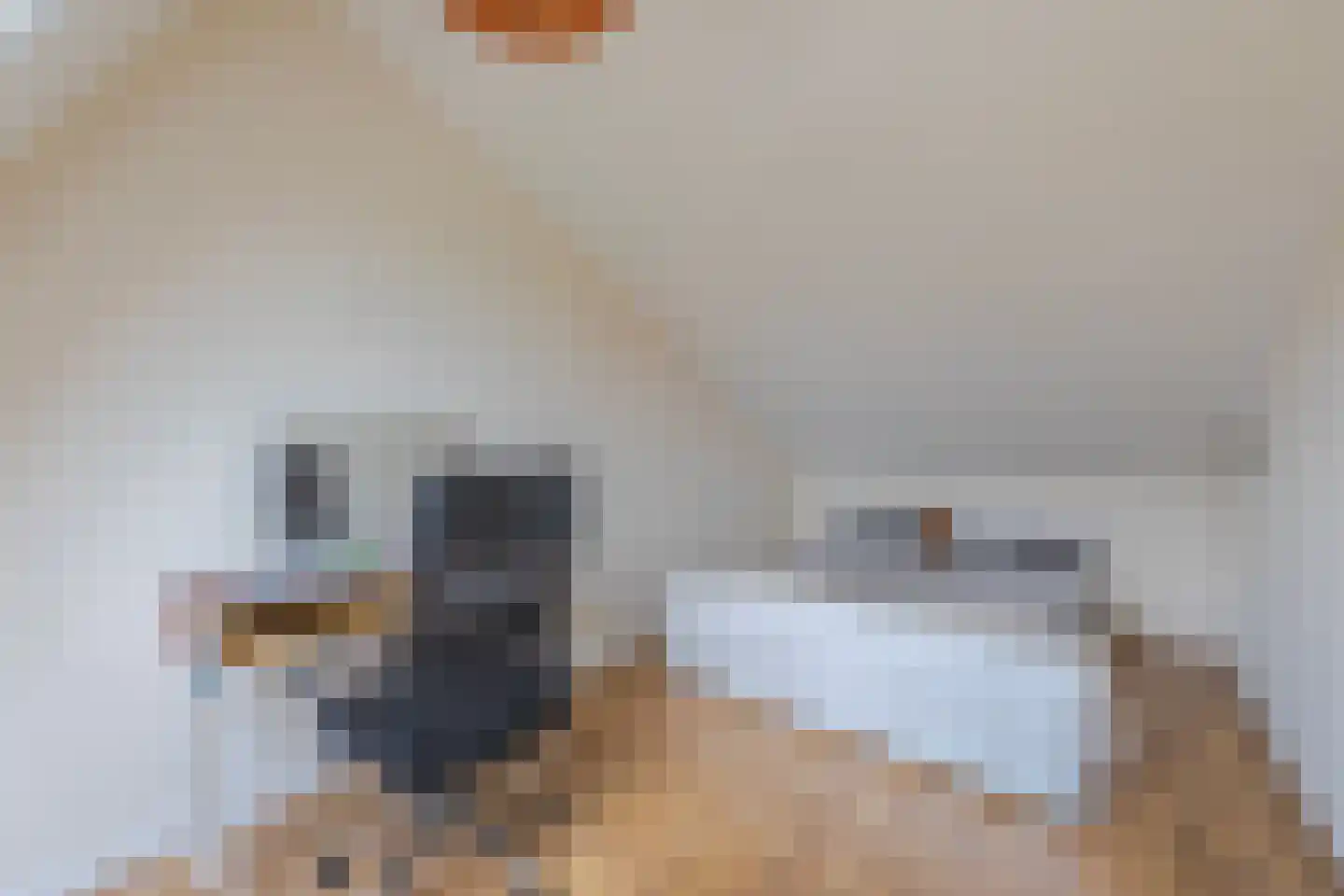 Frankenveld 14 Arnhem thumbnail 35