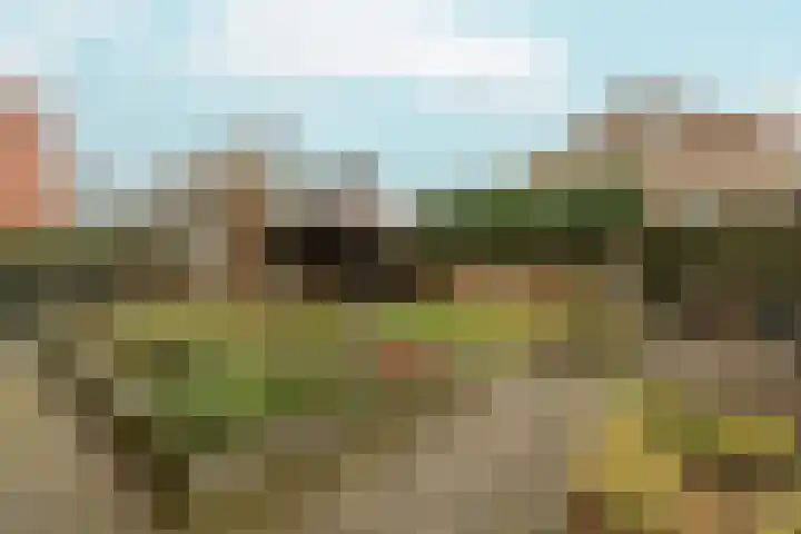 Frankenveld 53 Arnhem thumbnail 44