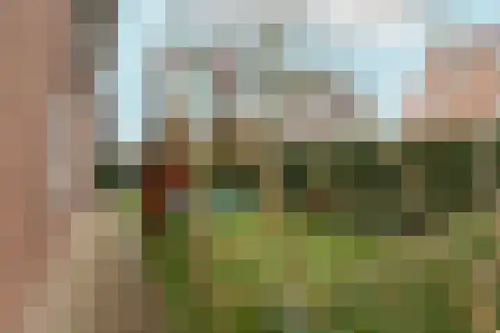 Frankenveld 53 Arnhem thumbnail 48