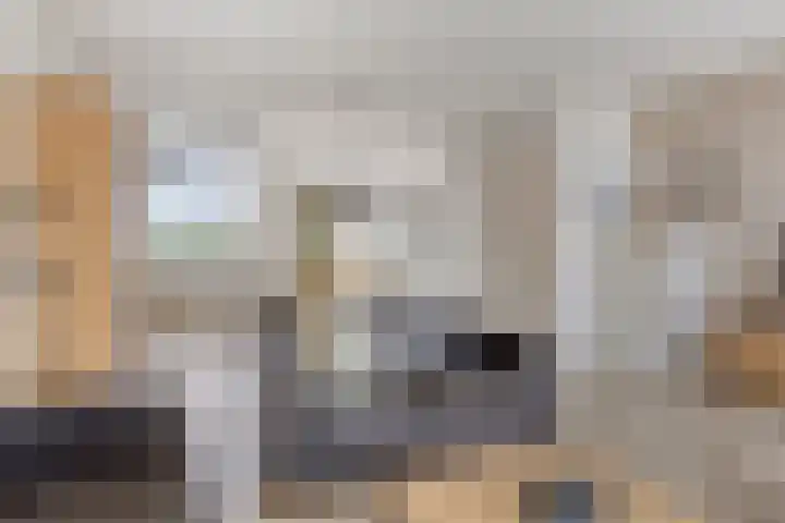 Frankenweer 3 Ouderkerk aan den IJssel thumbnail 11