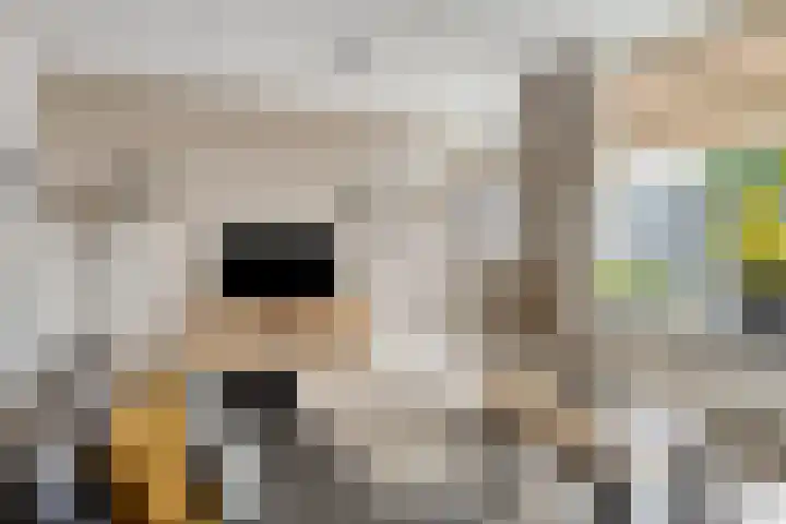 Frankenweer 3 Ouderkerk aan den IJssel thumbnail 12