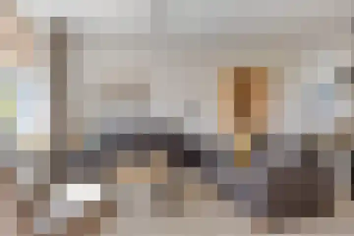 Frankenweer 3 Ouderkerk aan den IJssel thumbnail 14