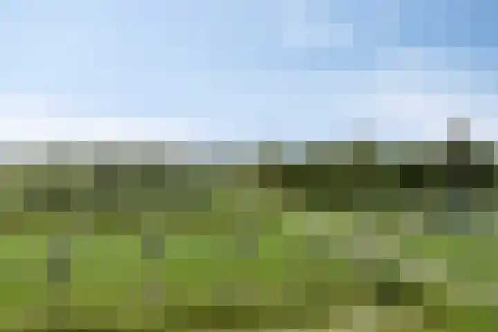 Frankenweer 3 Ouderkerk aan den IJssel thumbnail 36