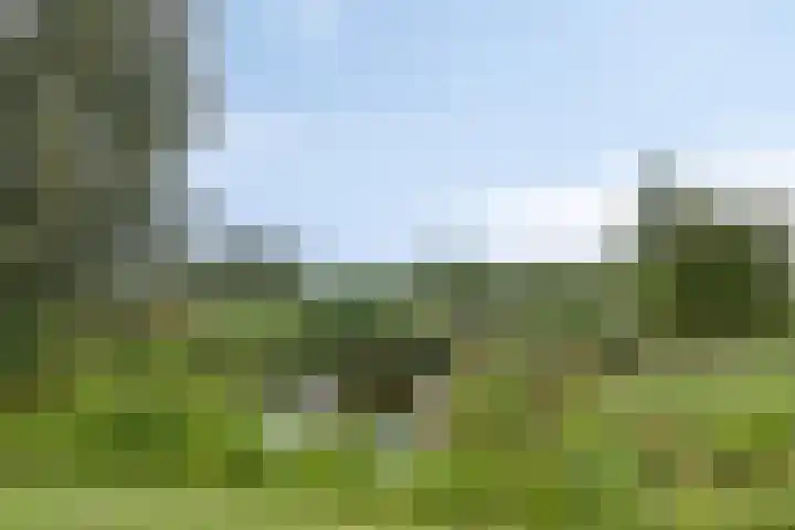 Frankenweer 3 Ouderkerk aan den IJssel thumbnail 38
