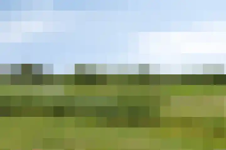 Frankenweer 3 Ouderkerk aan den IJssel thumbnail 40