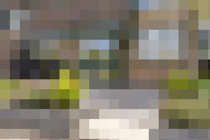 Frankenweer 3 Ouderkerk aan den IJssel thumbnail 5