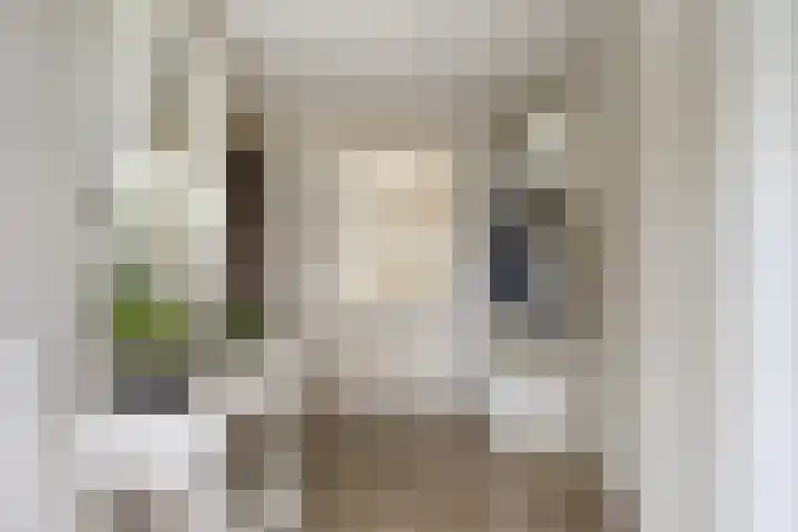 Frankenweer 3 Ouderkerk aan den IJssel thumbnail 9