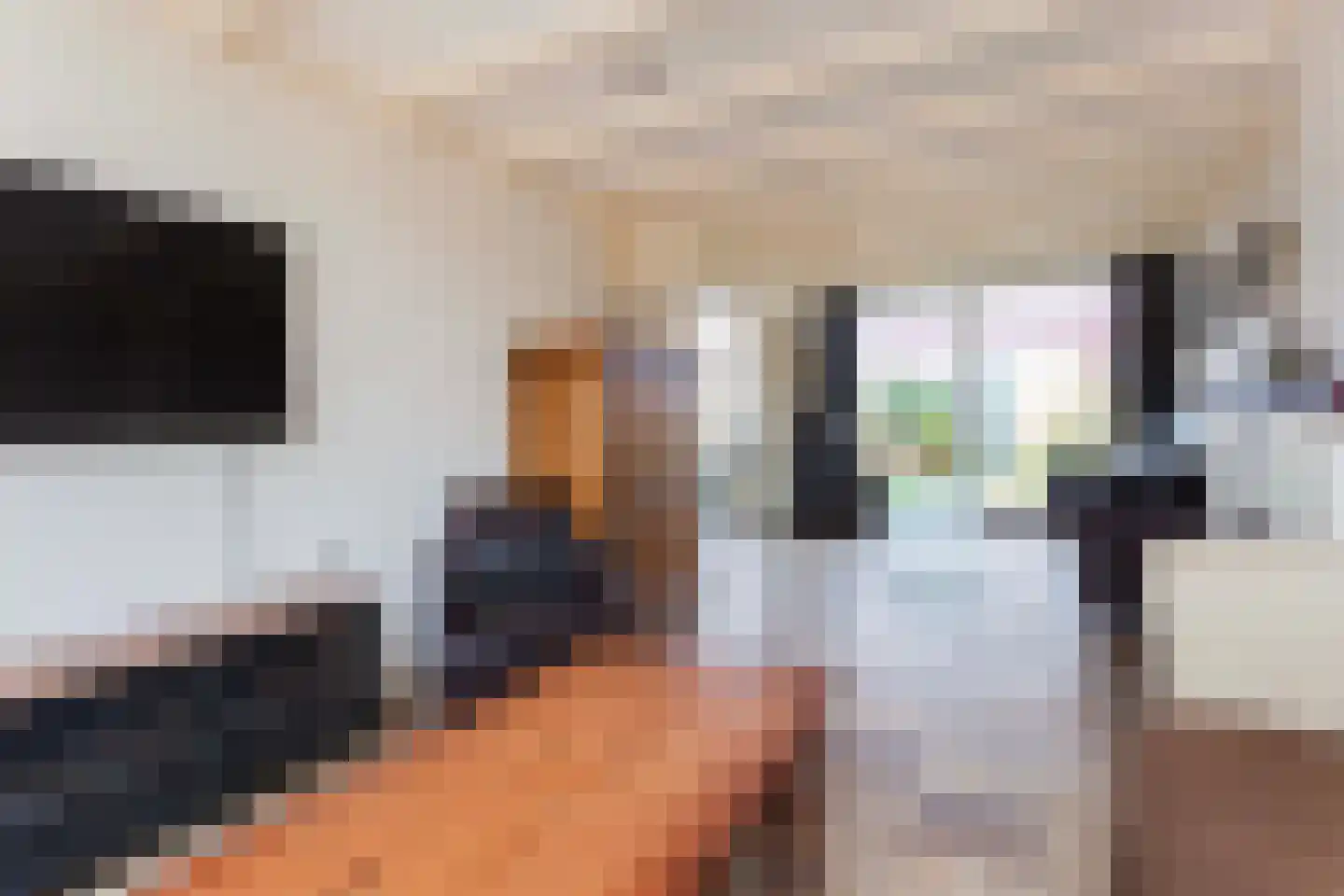 Frankenweg 1 Wijk bij Duurstede thumbnail 10