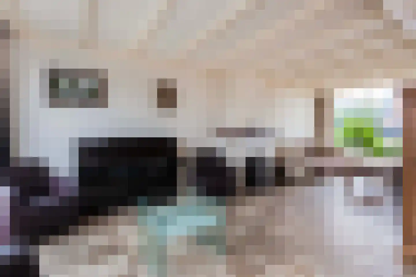 Frankenweg 1 Wijk bij Duurstede thumbnail 14