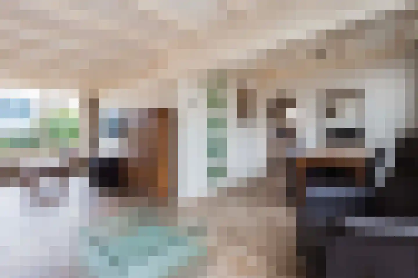 Frankenweg 1 Wijk bij Duurstede thumbnail 16