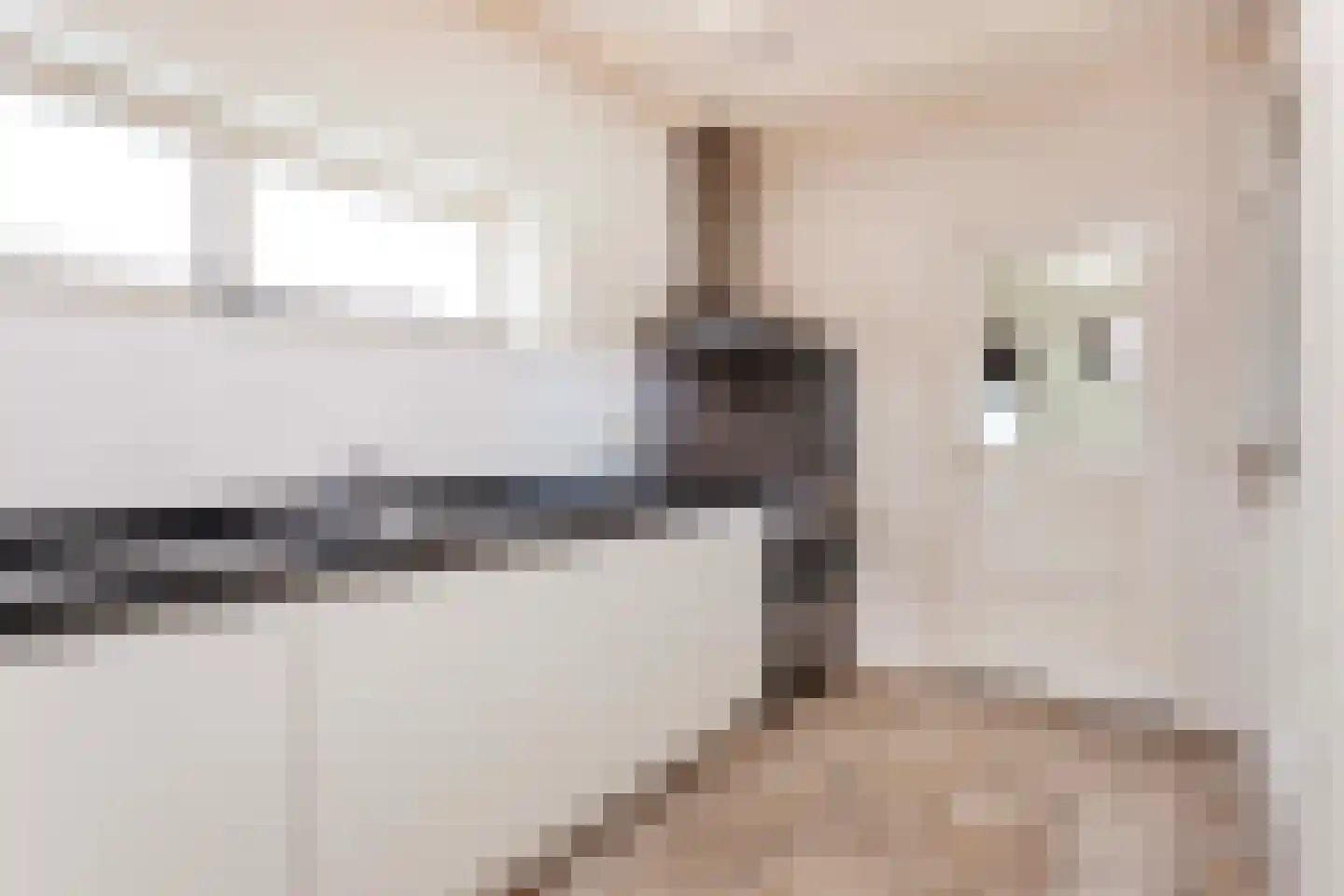 Frankenweg 1 Wijk bij Duurstede thumbnail 19
