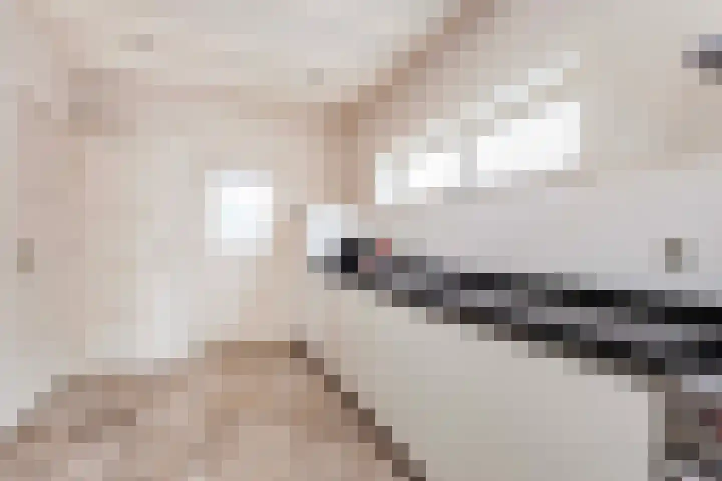 Frankenweg 1 Wijk bij Duurstede thumbnail 21