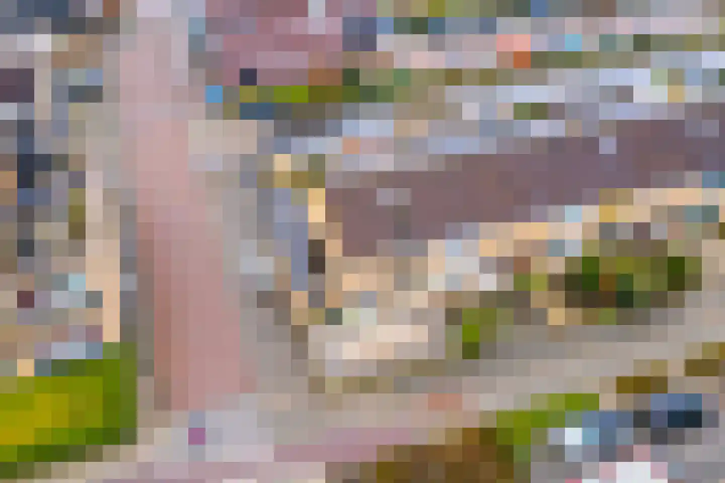 Frankenweg 1 Wijk bij Duurstede thumbnail 57