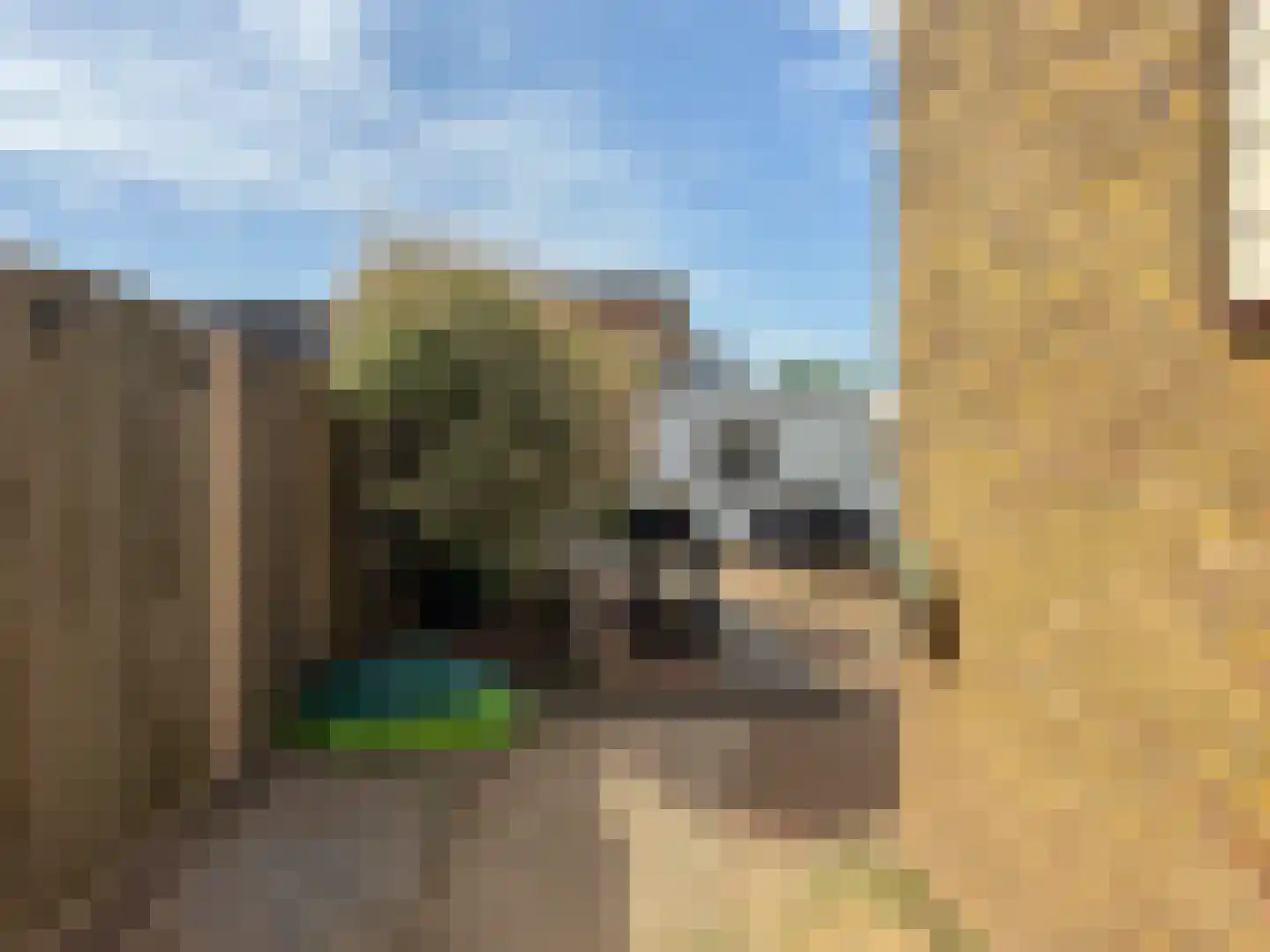 Frankenweg 17 Wijk bij Duurstede thumbnail 15