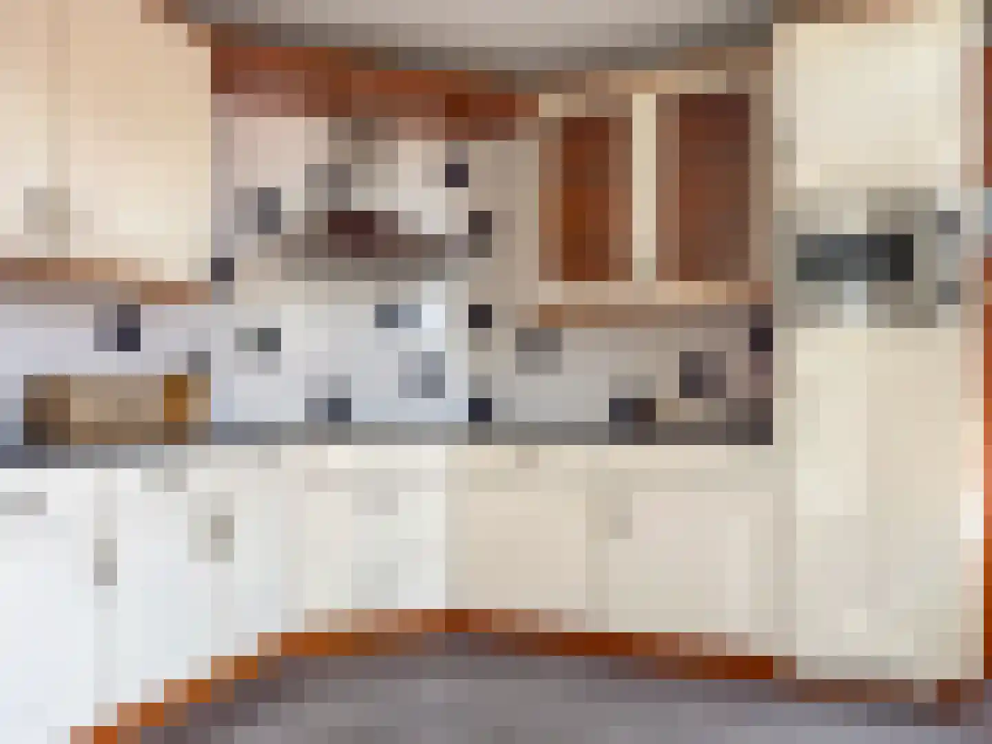 Frankenweg 17 Wijk bij Duurstede thumbnail 5