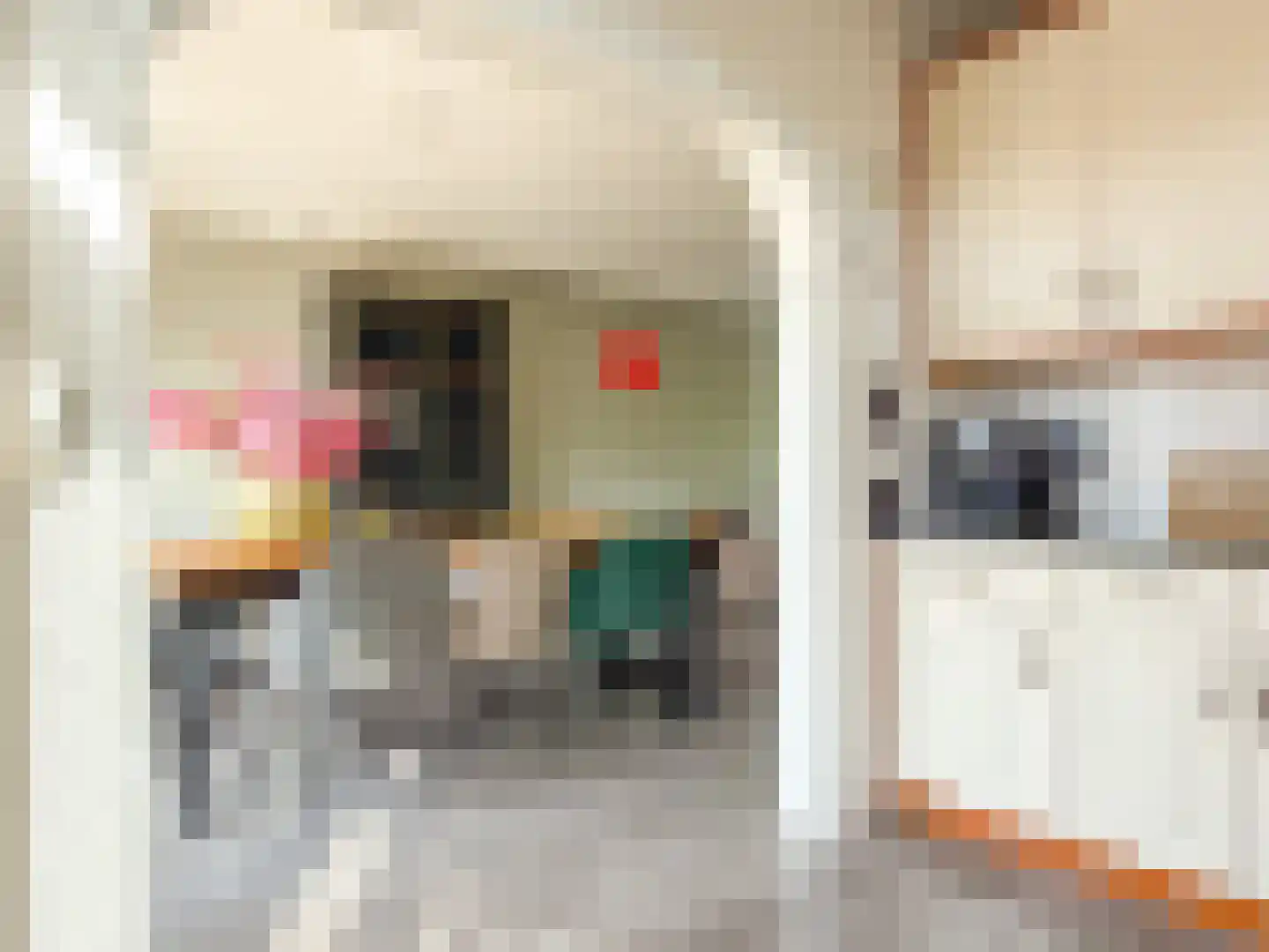Frankenweg 17 Wijk bij Duurstede thumbnail 6