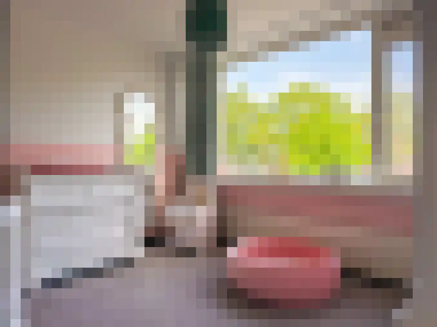 Frankenweg 17 Wijk bij Duurstede thumbnail 8