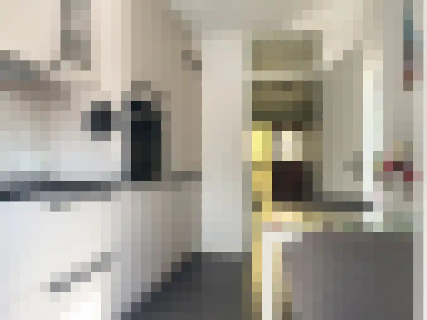 Frankenweg 27 Wijk bij Duurstede thumbnail 11
