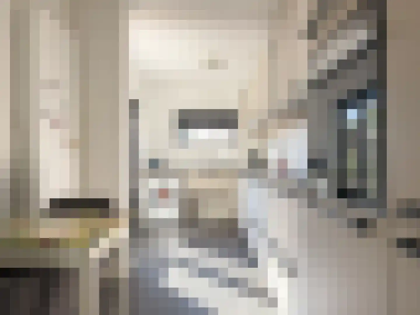 Frankenweg 27 Wijk bij Duurstede thumbnail 9