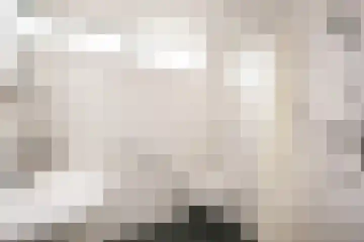 Frankenweg 33 Wijk bij Duurstede thumbnail 21