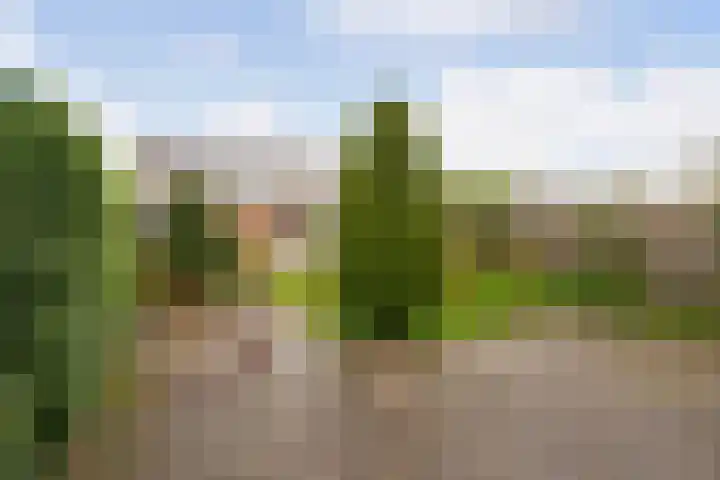 Frankenweg 33 Wijk bij Duurstede thumbnail 27