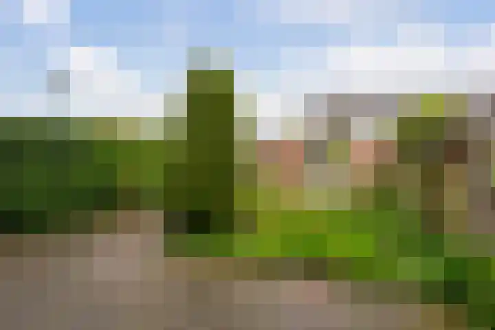 Frankenweg 33 Wijk bij Duurstede thumbnail 28