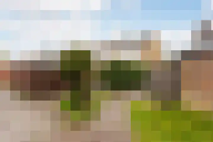 Frankenweg 33 Wijk bij Duurstede thumbnail 31