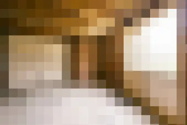 Frankenweg 33 Wijk bij Duurstede thumbnail 32