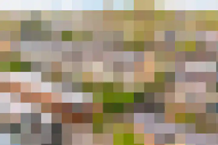 Frankenweg 33 Wijk bij Duurstede thumbnail 34