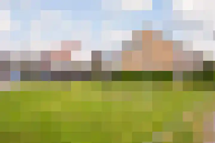 Frankenweg 33 Wijk bij Duurstede thumbnail 35