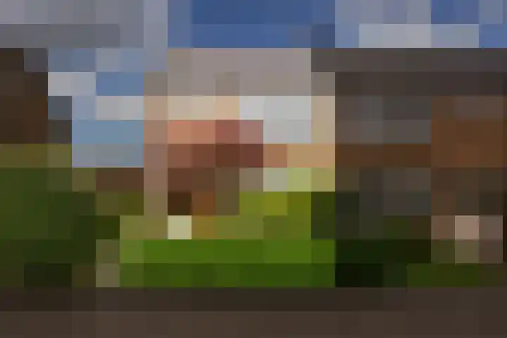 Frankenweg 33 Wijk bij Duurstede thumbnail 36