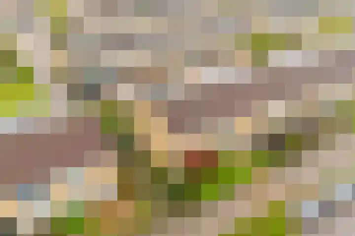 Frankenweg 33 Wijk bij Duurstede thumbnail 37