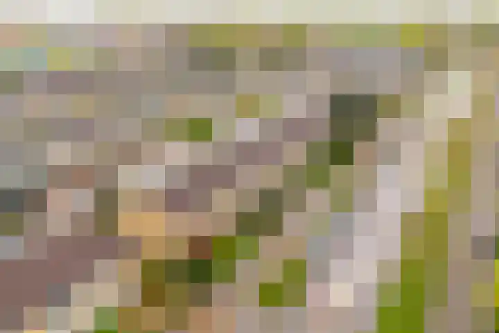 Frankenweg 33 Wijk bij Duurstede thumbnail 38