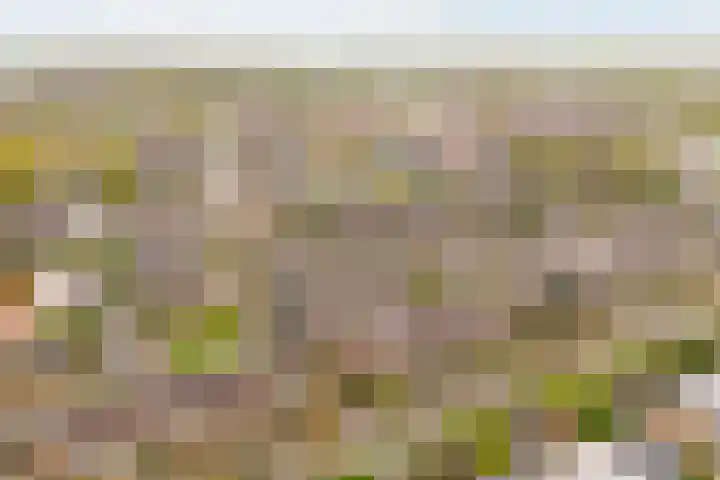 Frankenweg 33 Wijk bij Duurstede thumbnail 39