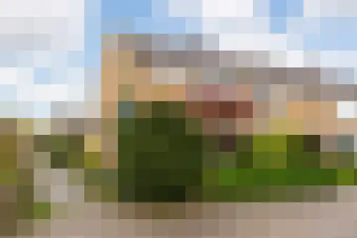 Frankenweg 33 Wijk bij Duurstede thumbnail 4