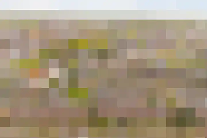 Frankenweg 33 Wijk bij Duurstede thumbnail 40