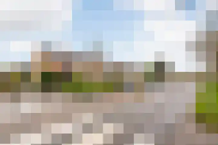 Frankenweg 33 Wijk bij Duurstede thumbnail 5