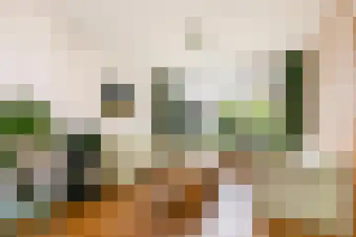 Frankenweg 33 Wijk bij Duurstede thumbnail 7