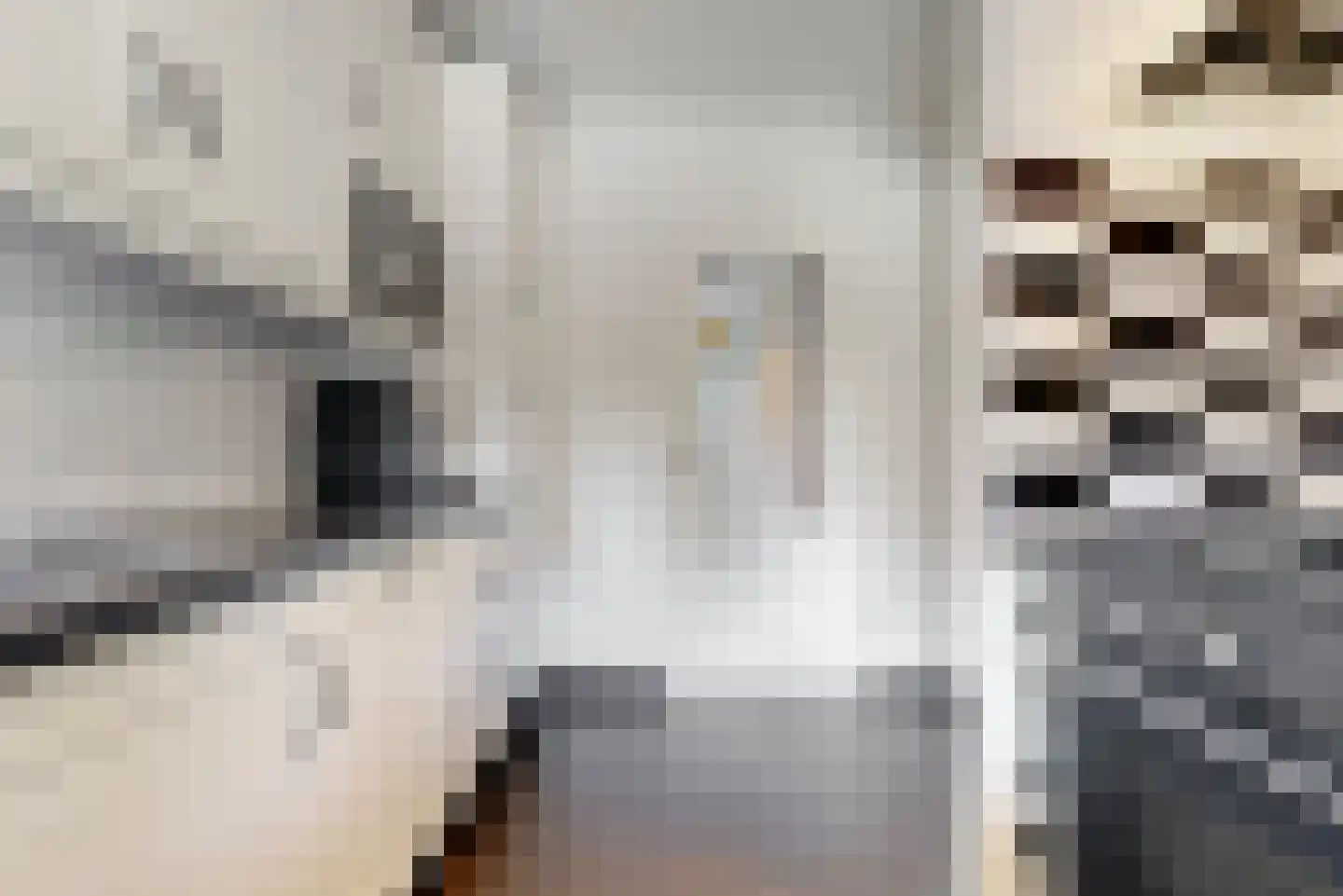 Frankenweg 47 Wijk bij Duurstede thumbnail 10