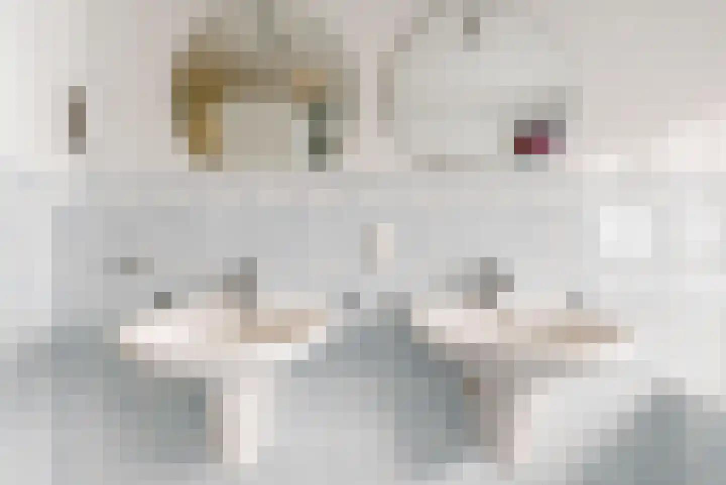 Frankenweg 47 Wijk bij Duurstede thumbnail 17